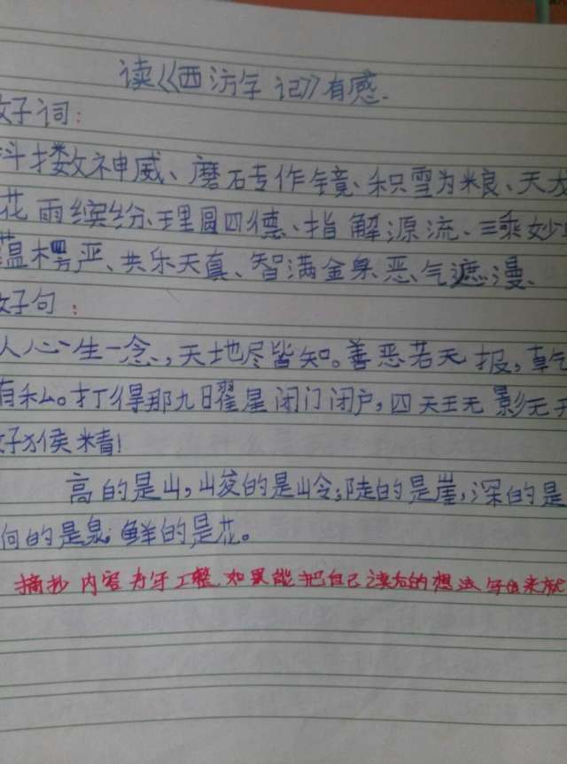 大新小学举行优秀读书笔记评比活动