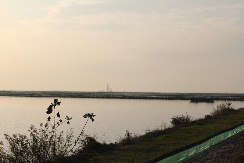 骆马湖螃蟹养殖_社区教育_新沂市小湖中学