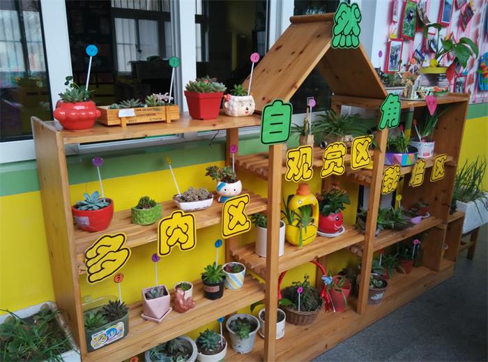 文章摘要:创意绿色种植,亲近探究自然---新沂市妇联幼儿园进行自然角