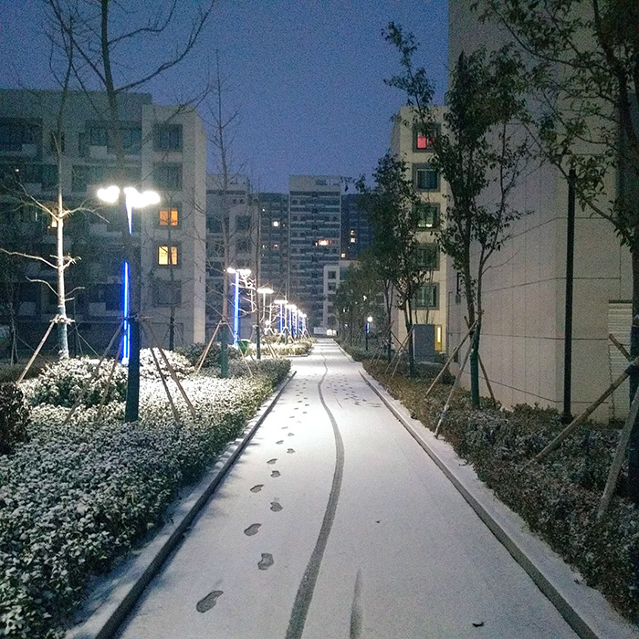 雪景.JPG