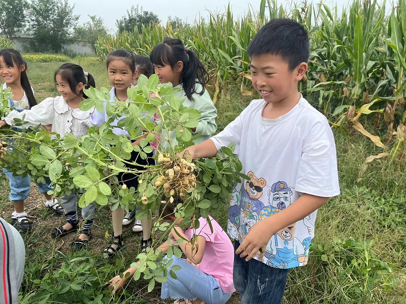 微信图片_202309191107071.jpg