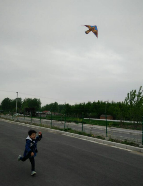 有趣的风筝——窑湾镇中心幼儿园大班主题活动分享