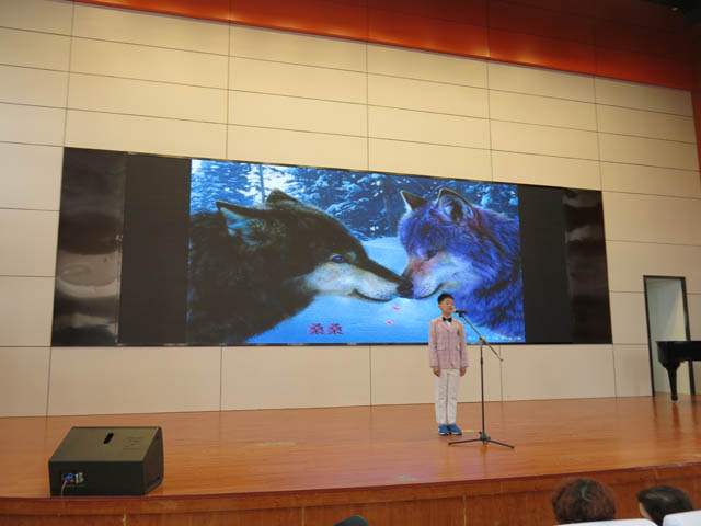 桥口小学许城玉同学在 “小学生经典著作知识大赛”决赛中荣获特等奖