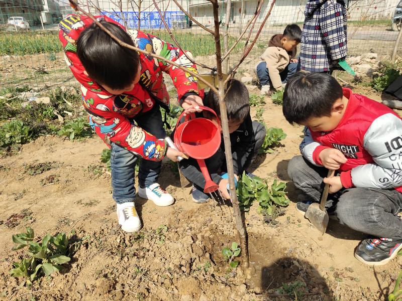 添一点绿色、多一份美好 ——窑湾镇中心幼儿园大班植树节活动