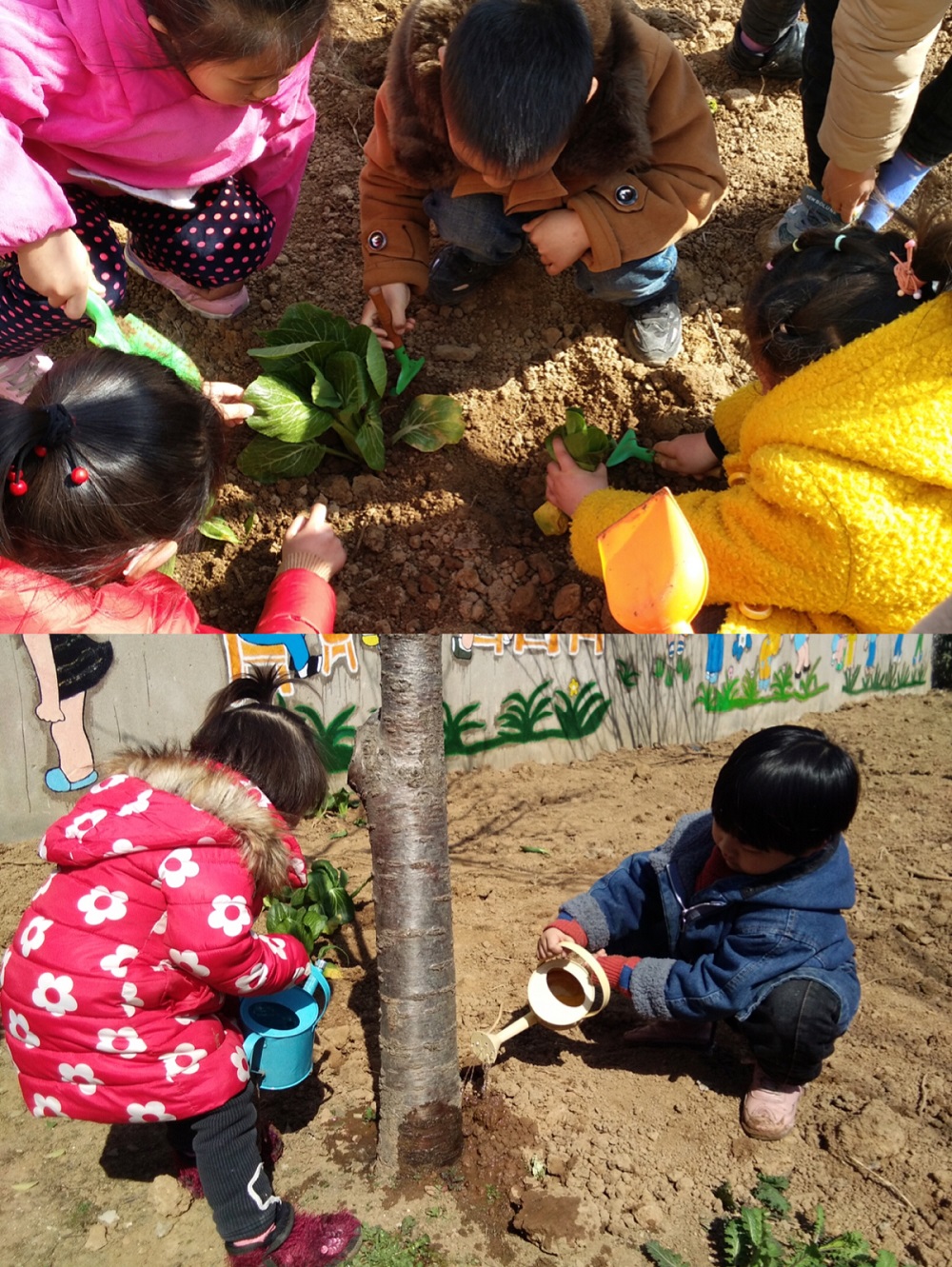 护绿行动，从我做起 ——邵店镇第二幼儿园植树节活动