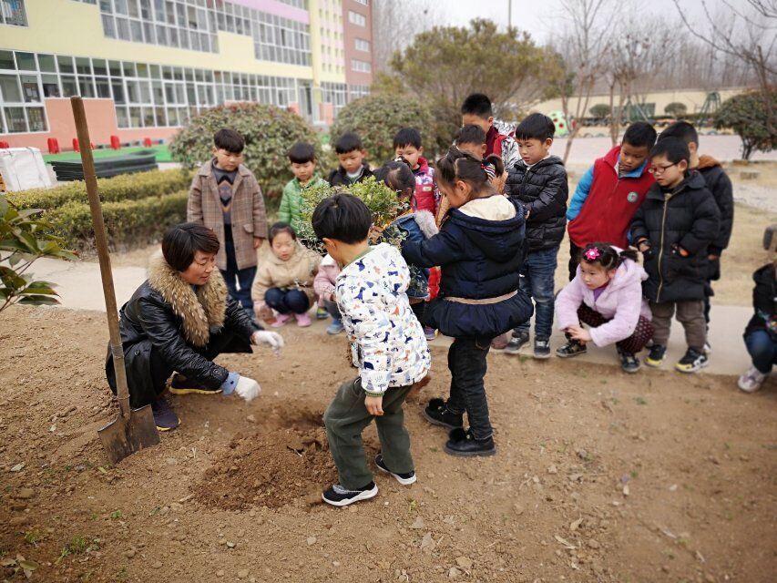 合沟中心幼儿园家园共建系列活动之——植树