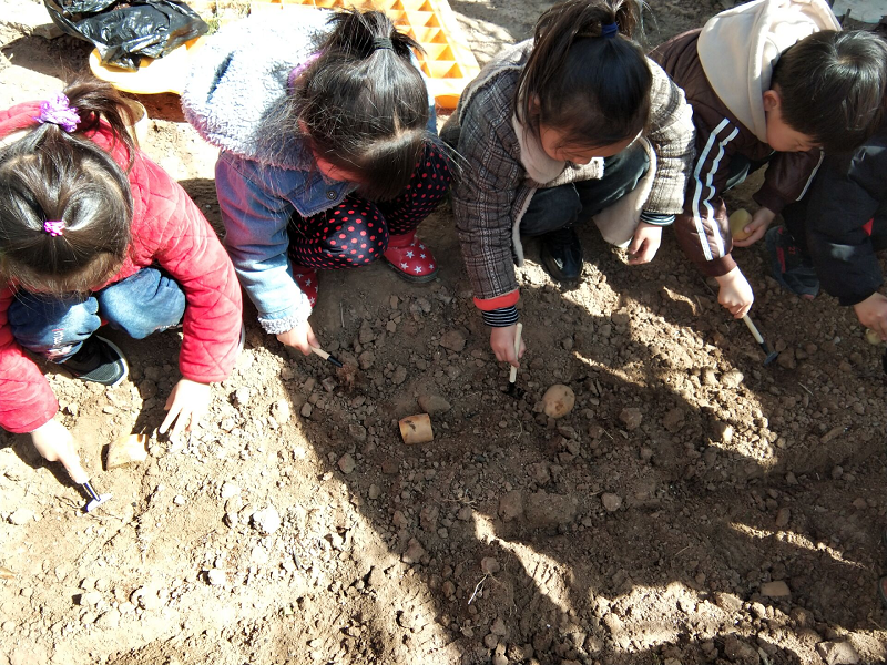 科学种植，共同成长——港头镇中心幼儿园中一班科学种植活动报道