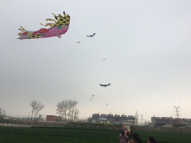放飞梦想  收获幸福 --港头镇戴沟小学举行放风筝比赛活动