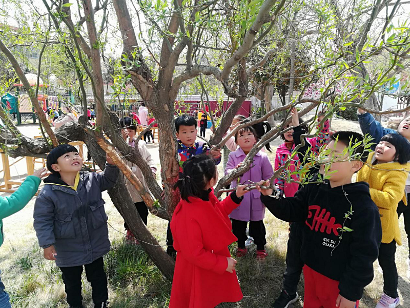 发现春天，拥抱自然 ——港头中心幼儿园大一班拥抱自然活动报道
