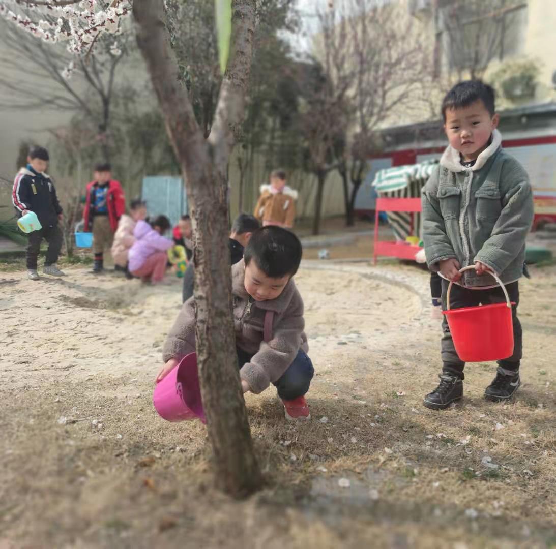 拥抱春天，呵护绿色 ——瓦窑镇中心幼儿园中三班植树节活动
