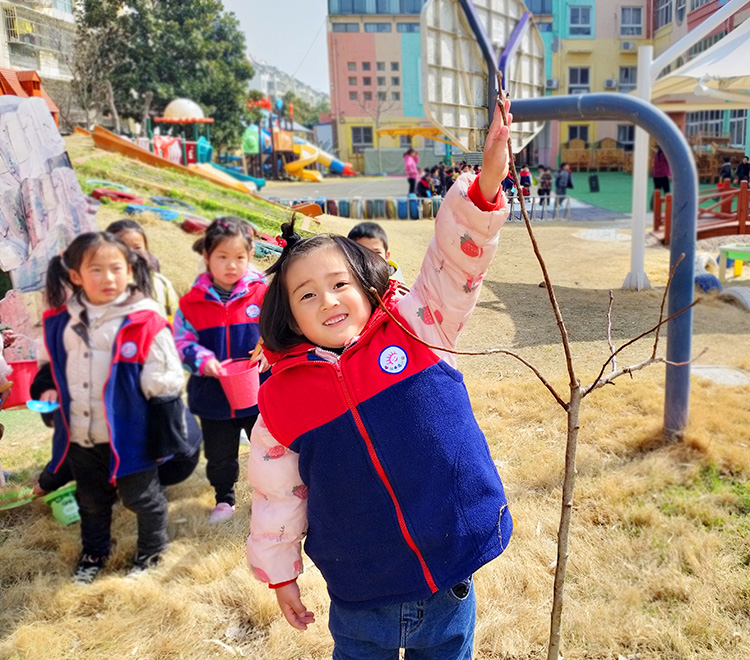 我与小树共成长——新沂市北沟第二幼儿园开展植树节活动
