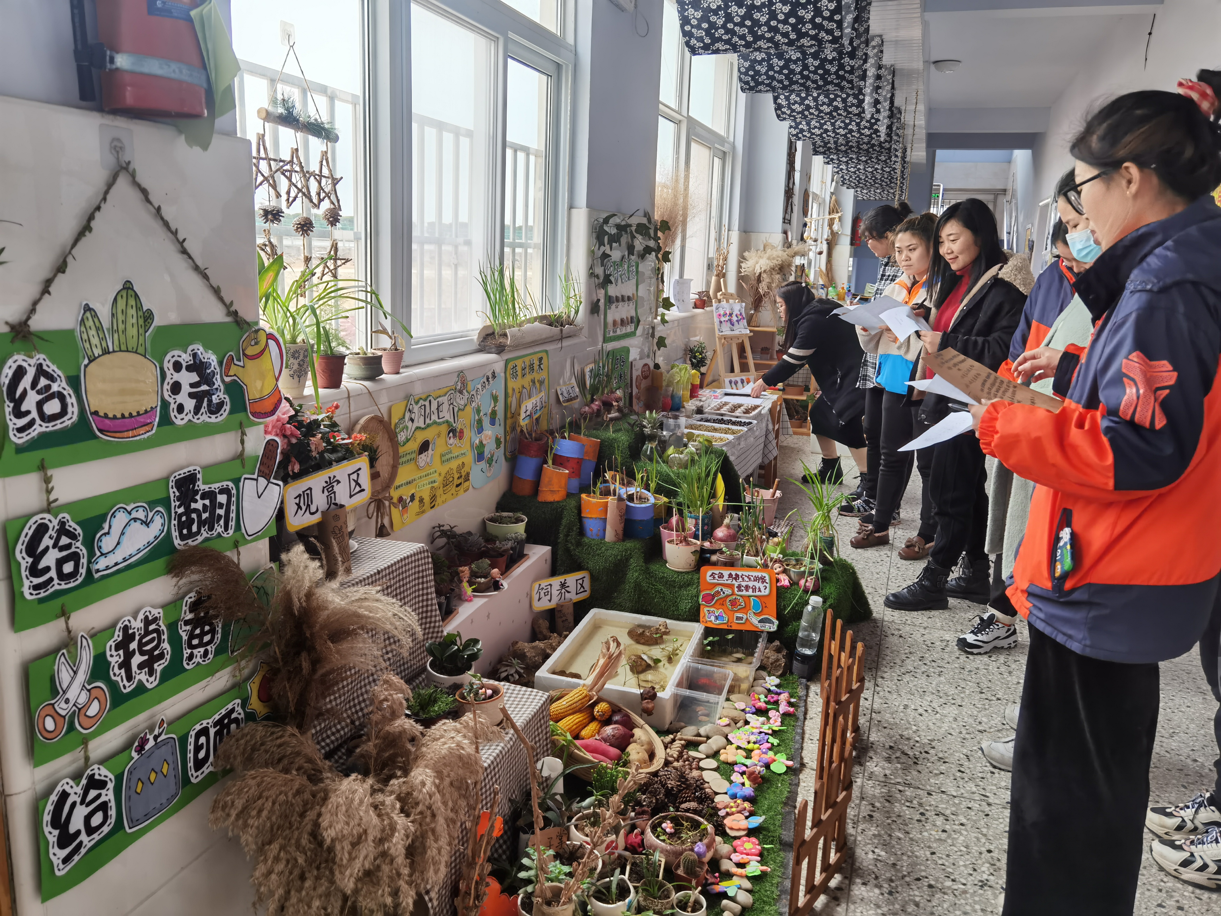 春色满园 醉美嶂苍园——新安嶂苍幼儿园开展自然角评比活动