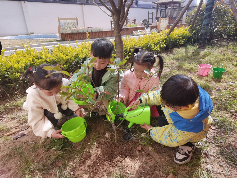 我和小树共成长 ——新沂市青年路幼儿园植树节活动