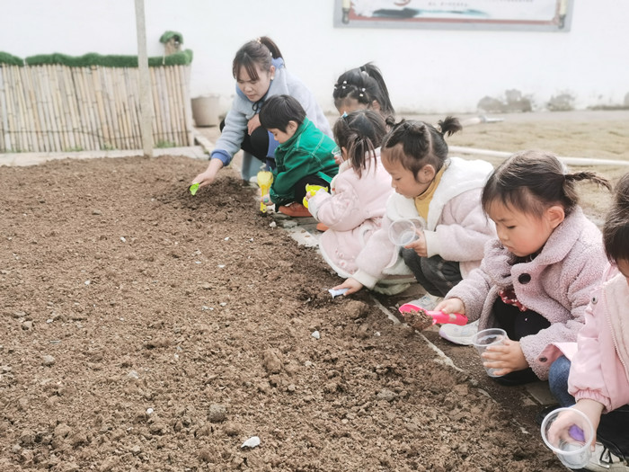 播种希望，收获快乐  ——窑湾镇中心幼儿园种植活动报道