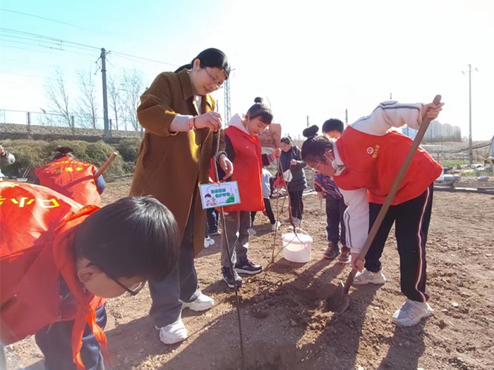 我与小树共成长