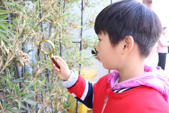 惊蛰，一切美好都在悄然发生 ——青年路幼儿园节气活动之惊蛰 