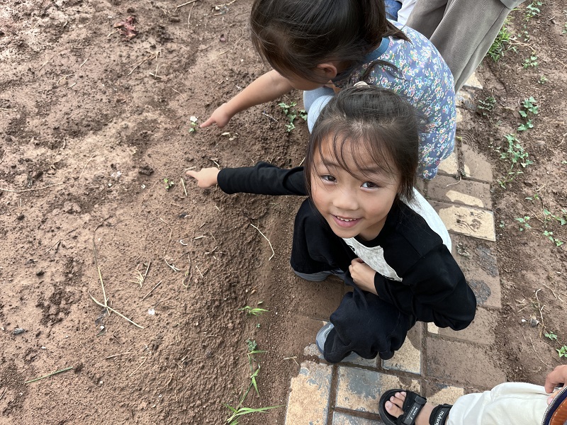 家园共育 快乐播种——窑湾镇中心幼儿园开展亲子种植活动