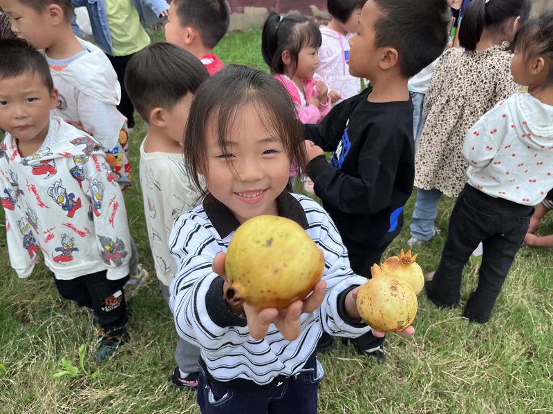 窑湾镇中心幼儿园——果树丰收啦