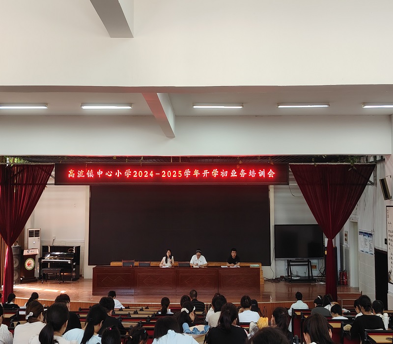提升教育质量，打造高效团队 ——高流镇中心小学开学初业务培训会