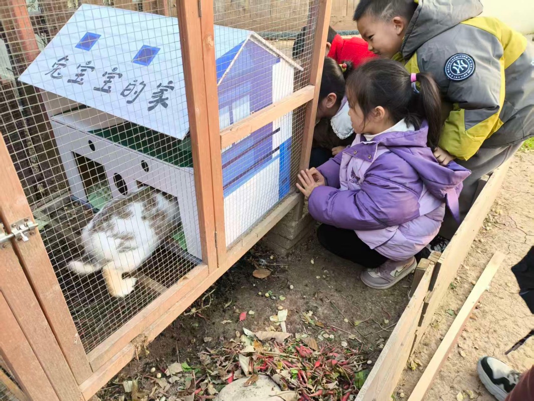 爱，原来可以这么暖——邵店镇中心幼儿园生命教育课程