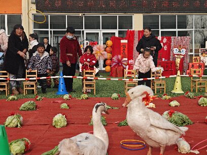 金马贺岁·福娃戏春 --港头镇中心幼儿园元旦亲子游园会圆满落幕