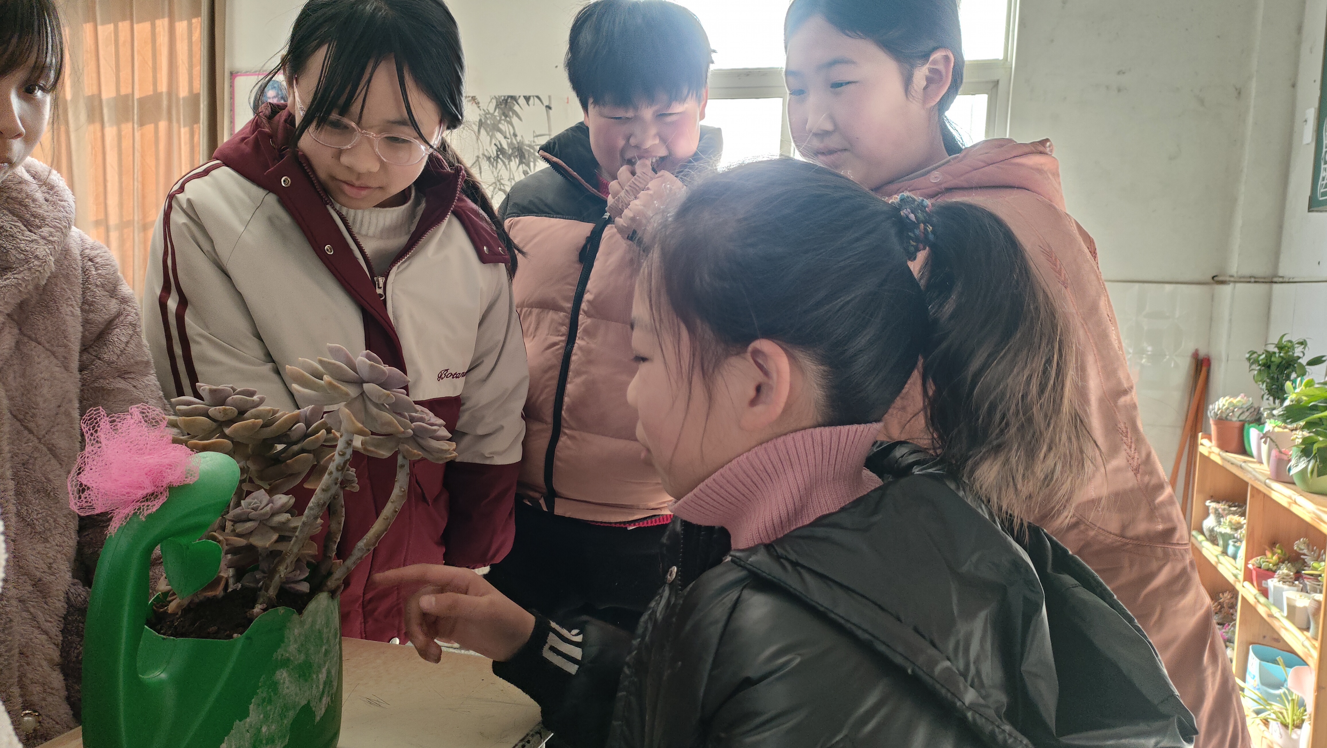 花卉区点亮教室，绿意满溢校园