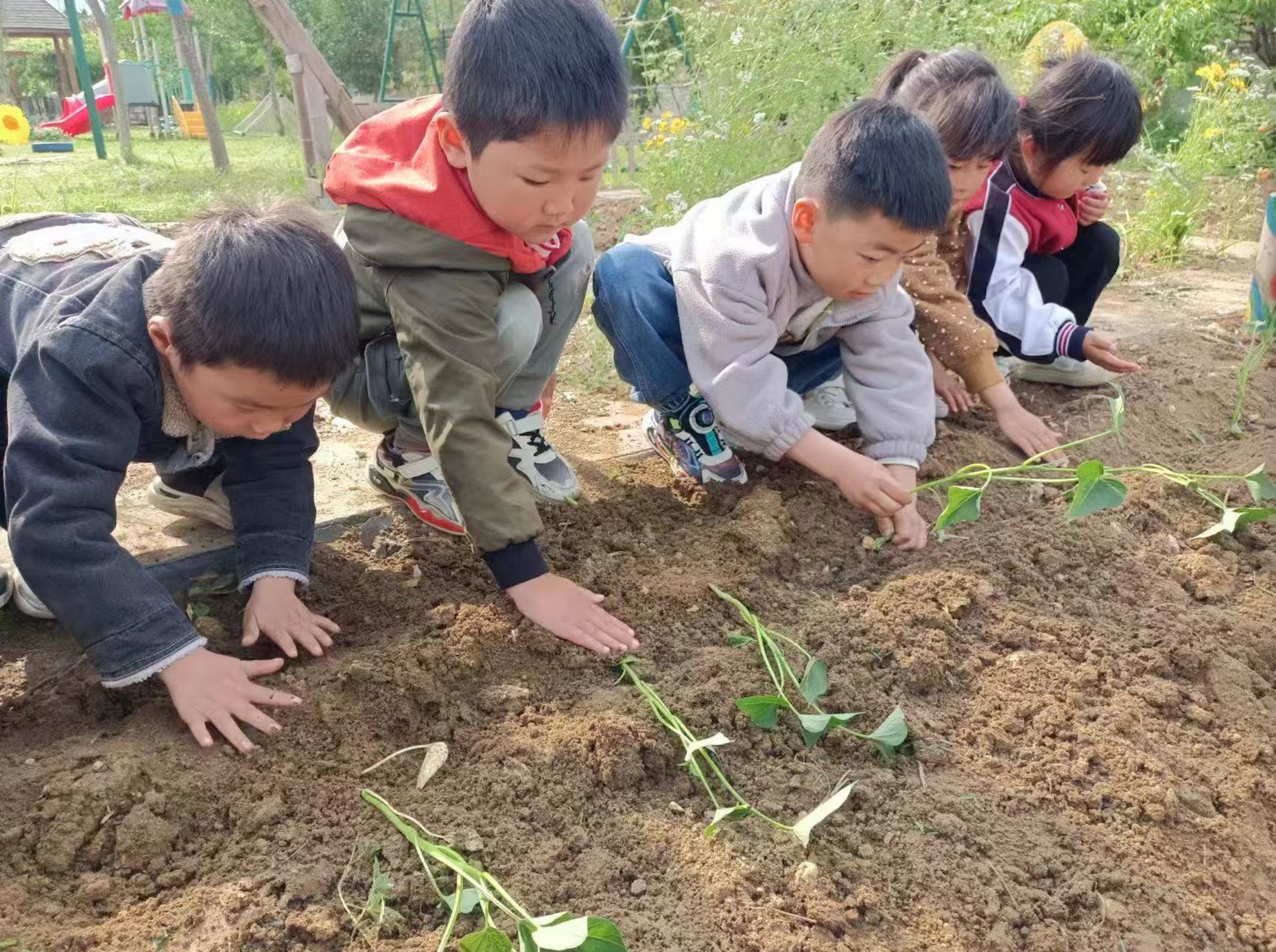 童心筑梦，劳动启航——时集镇中心幼儿园开展“劳动教育周”实践活动