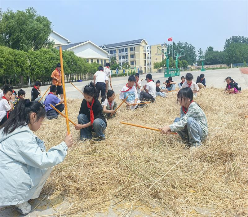 木槌起落处，童心绽晴岚——高流小学开展锤油菜籽心理团辅特色活动