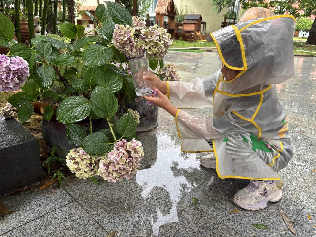 雨水音乐会 ——邵店镇中心幼儿园户外活动