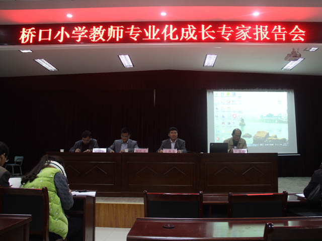 桥口小学举行教师专业化成长专家报告会