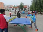新店中学举行学生乒乓球比赛