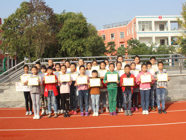 桥口小学学生在全国作文大赛中多人获奖