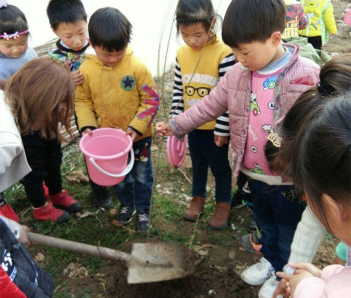 “给地球妈妈穿绿衣” ——新沂市瓦窑镇吕庄幼儿园“植树节”活动